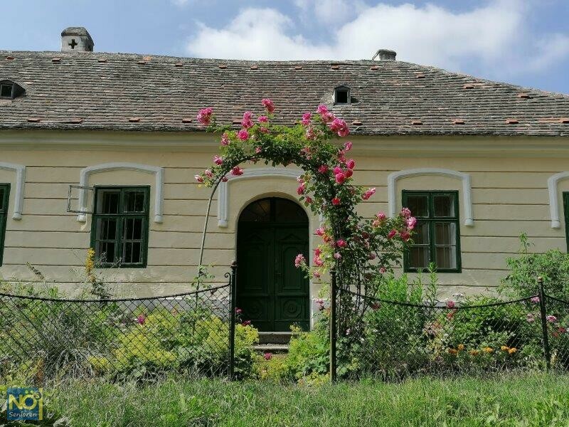20210624 Poysdorf 3