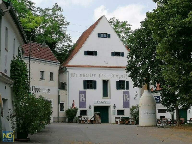 20210624 Poysdorf 6