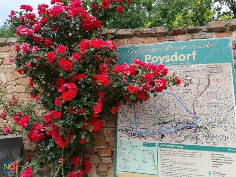 20210624 Poysdorf 7