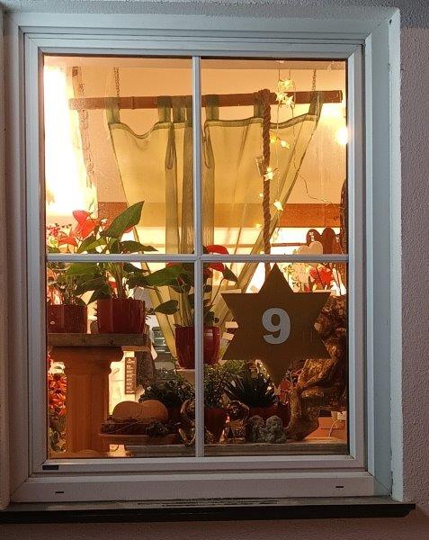 9 20221209 Fenster 09