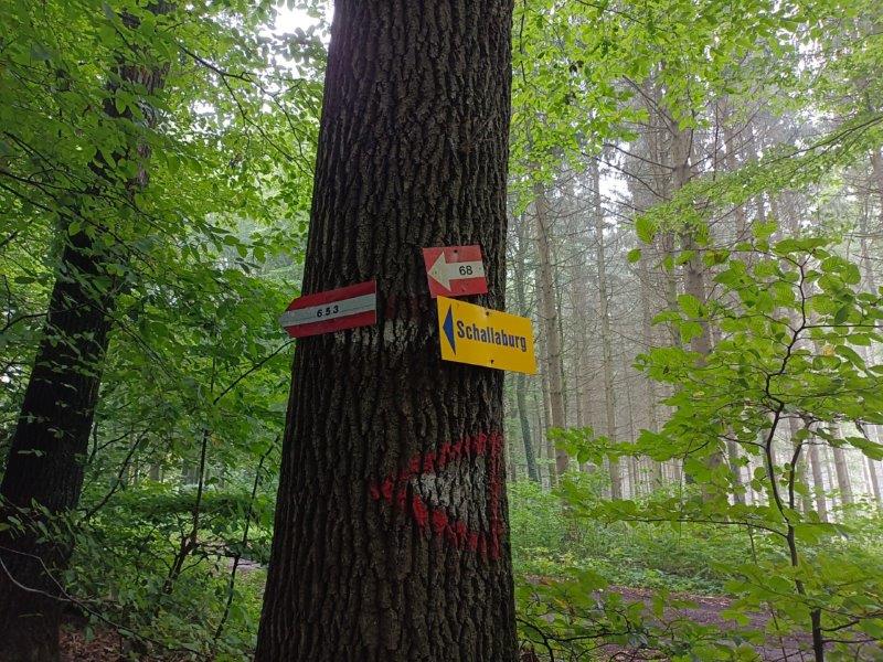 20220905 WANDERUNG 1